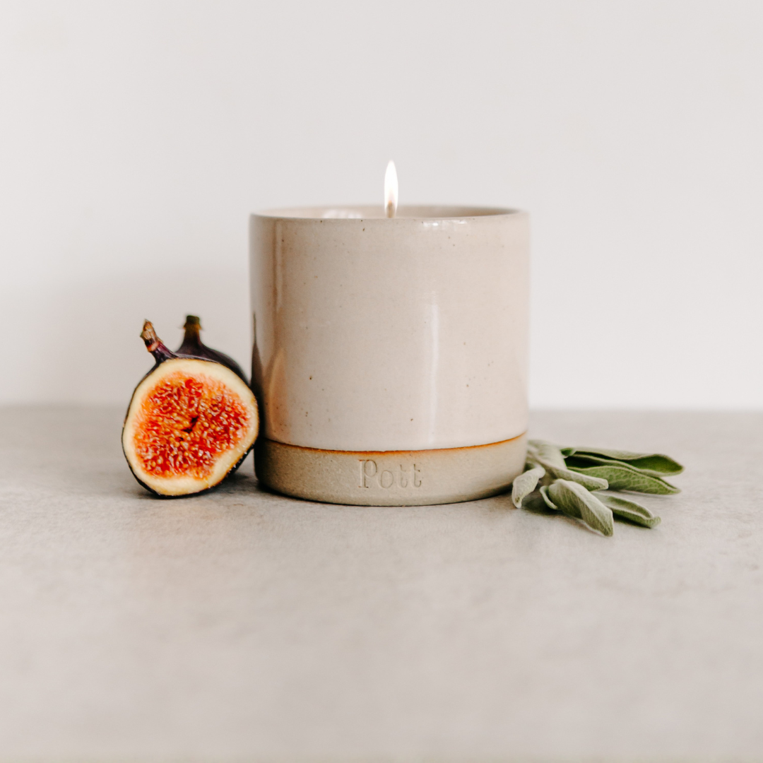The Fig Scent in Standard Blush Pott