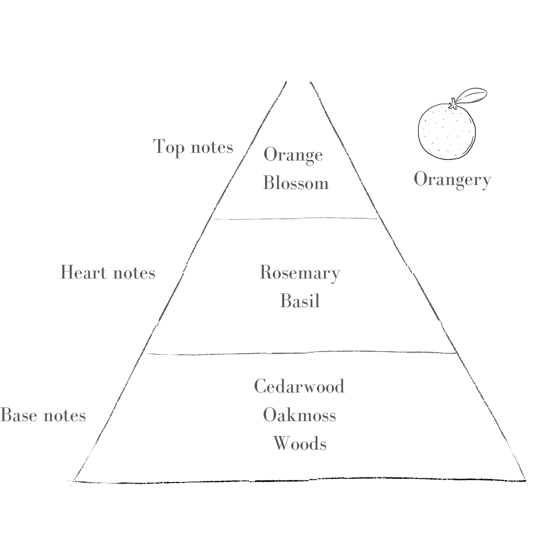 The Orangery Scent in Grand Speckle Pott