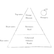 The Orangery Scent in Grand Speckle Pott