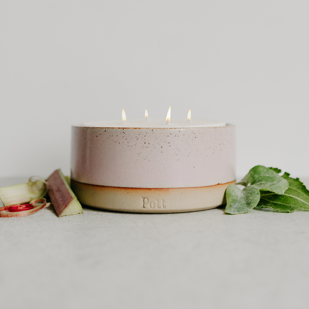 Rhubarb Scent in Grand Blush Pott