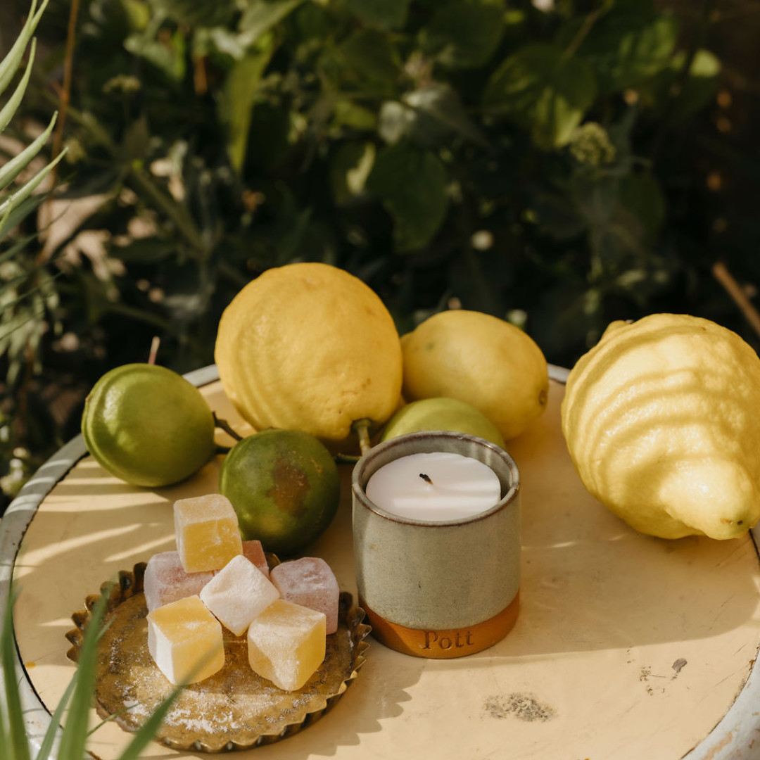 Outdoor Candles: The Fern Pott