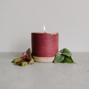 Rhubarb Standard Candle