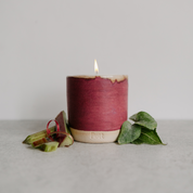 Autumn & Rhubarb Standard Candles