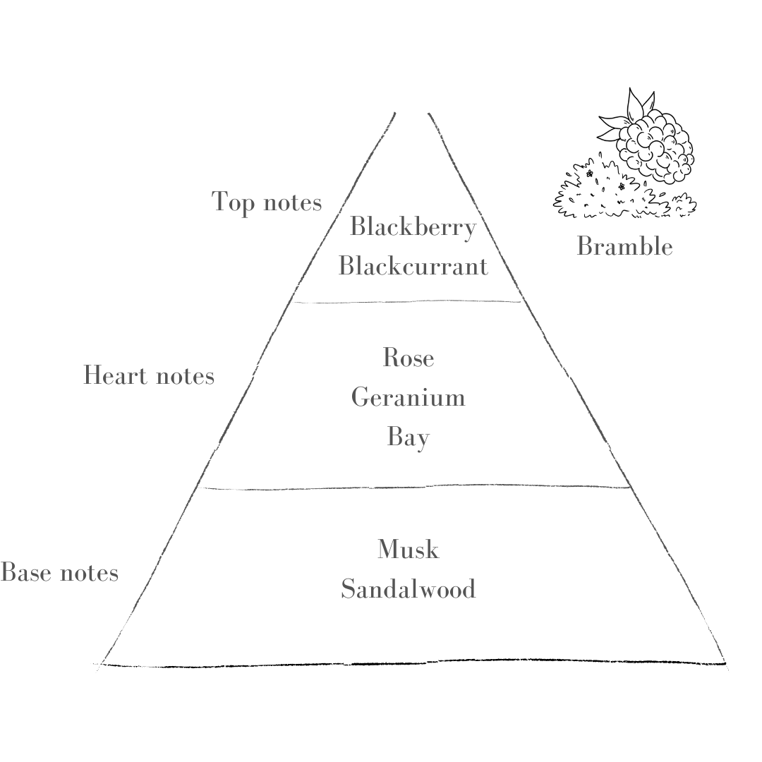Bramble Petite Refill (limited edition)