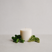Cook Refillable Candle Starter Pack (Petite Size)