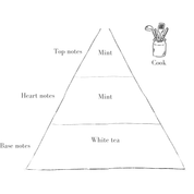 The Standard Seasonal Subscription Box