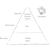 Cucumber Grand Refill