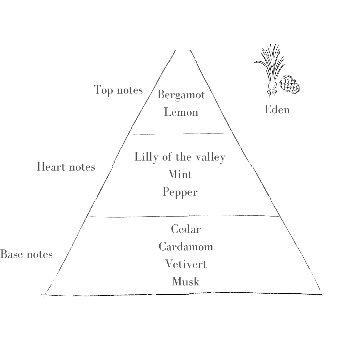 The Eden Scent in Petite Sage Pott