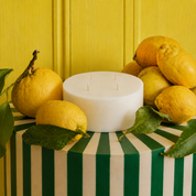 Eden Candle Refill (Grand Size)