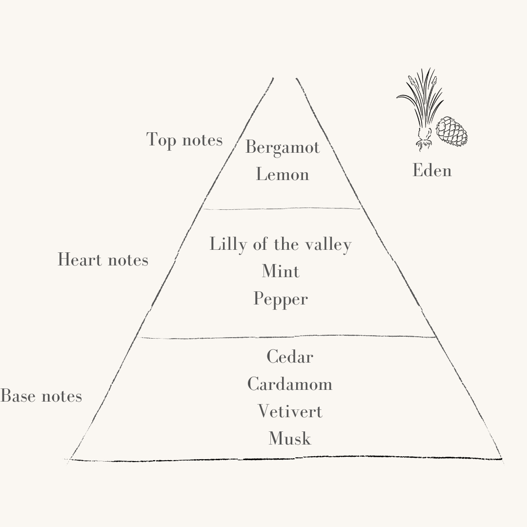 Eden Refillable Candle Starter Pack (Standard Size)