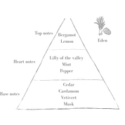 Petite Refill Pack - Eden, Bonfire, Noël