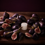 Fig Refillable Candle Starter Pack (Petite Size)