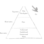 The Sage Diffuser