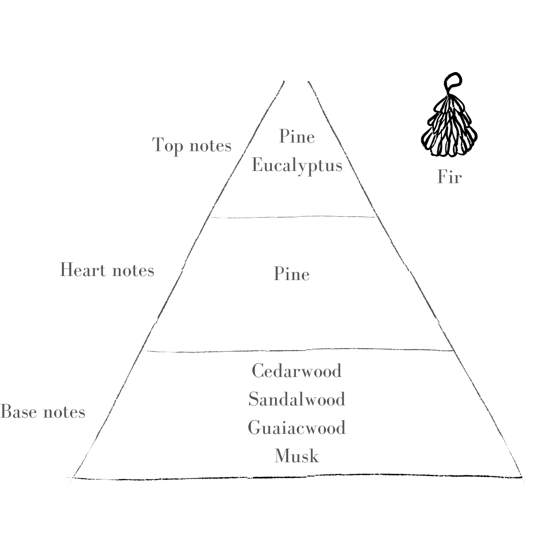 Fir Standard Sage Candle