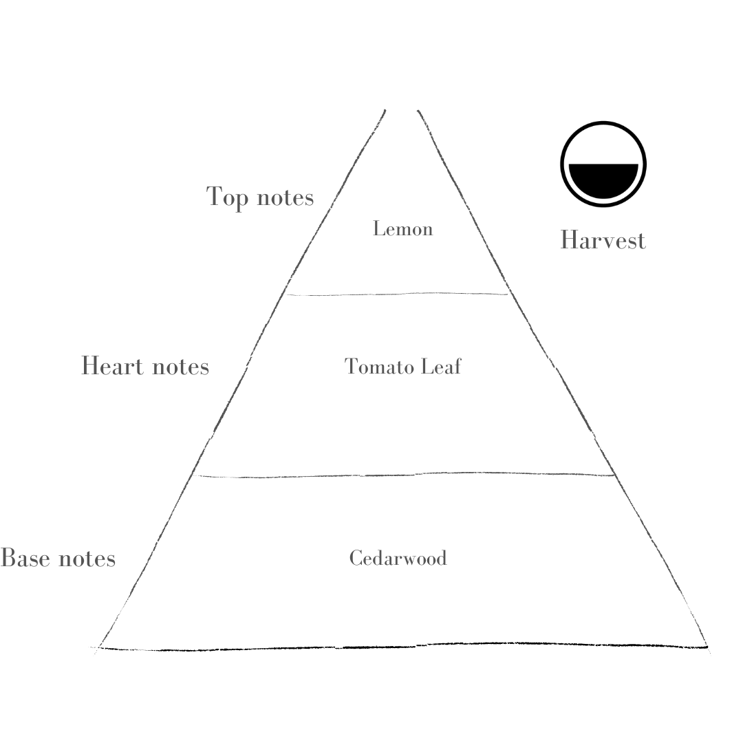 Harvest Standard Refill