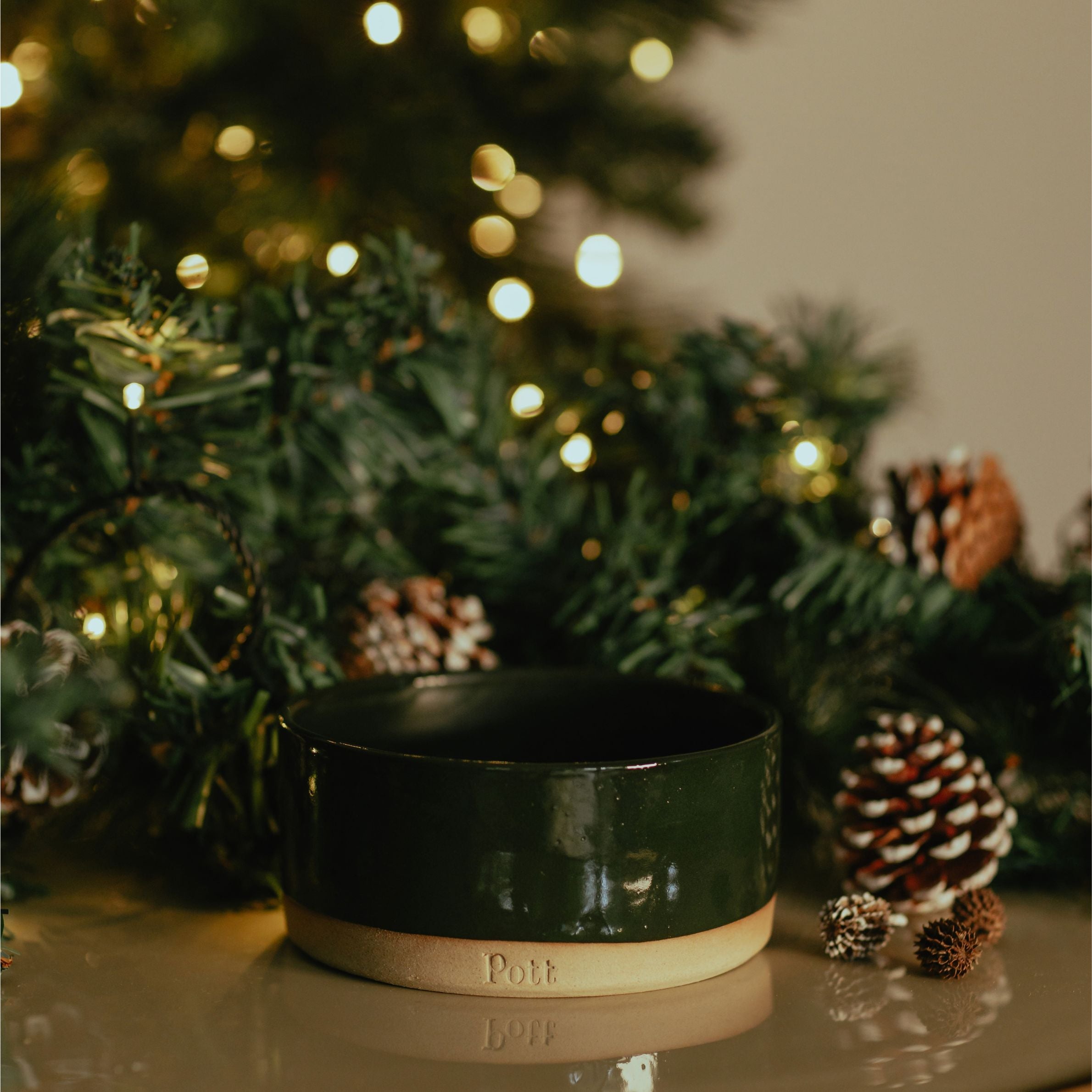The Holly - Just a Pott