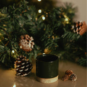 The Holly - Just a Pott