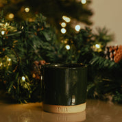 The Holly - Just a Pott