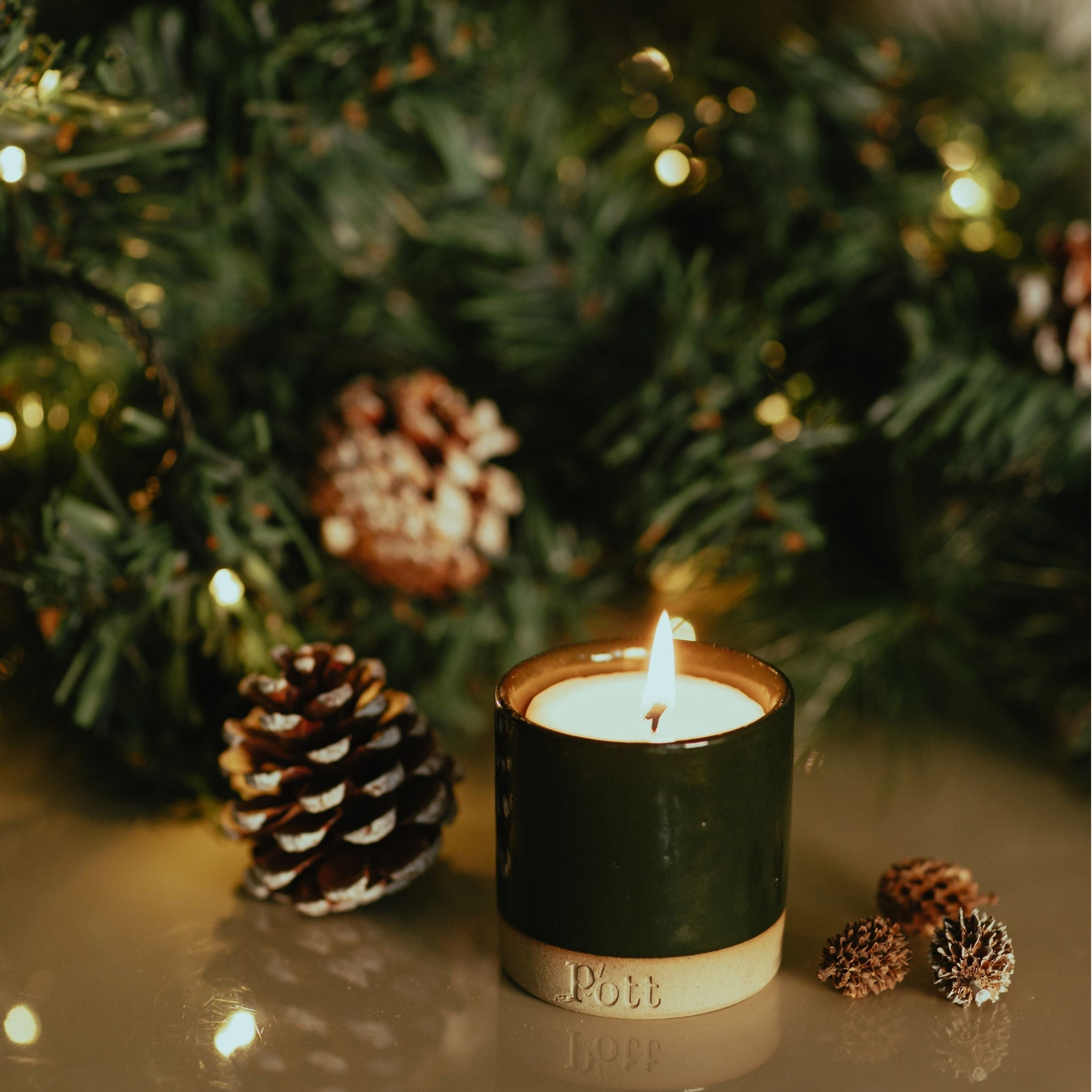 Holly_Fir_-_Candle_-_Petite.jpg
