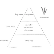 The Sage Diffuser