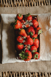 Berry Standard Refill