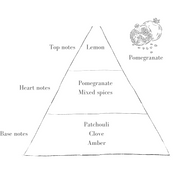 The Sage Diffuser