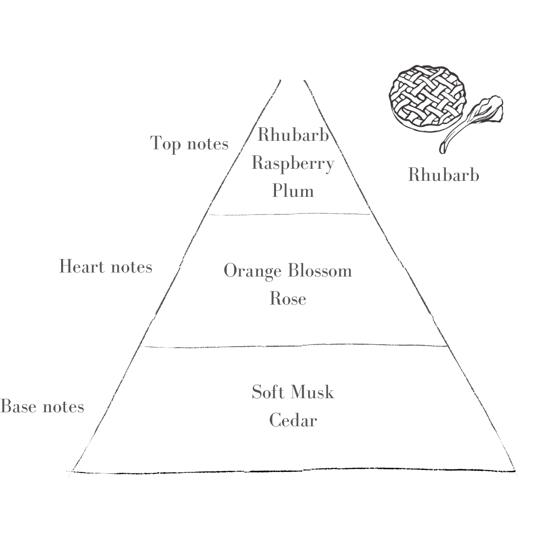 Rhubarb.png
