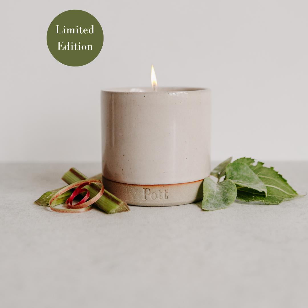 Rhubarb Scent in Standard Blush Pott