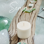 Seasonal Subscription