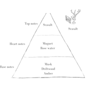 Best Selling Refills Set