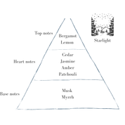 Starlight Petite Refill