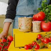 Tomato Vine Refillable Candle Starter Pack (Standard Size)