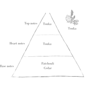 Refill Pack - Tonka, Myrrh, Bonfire