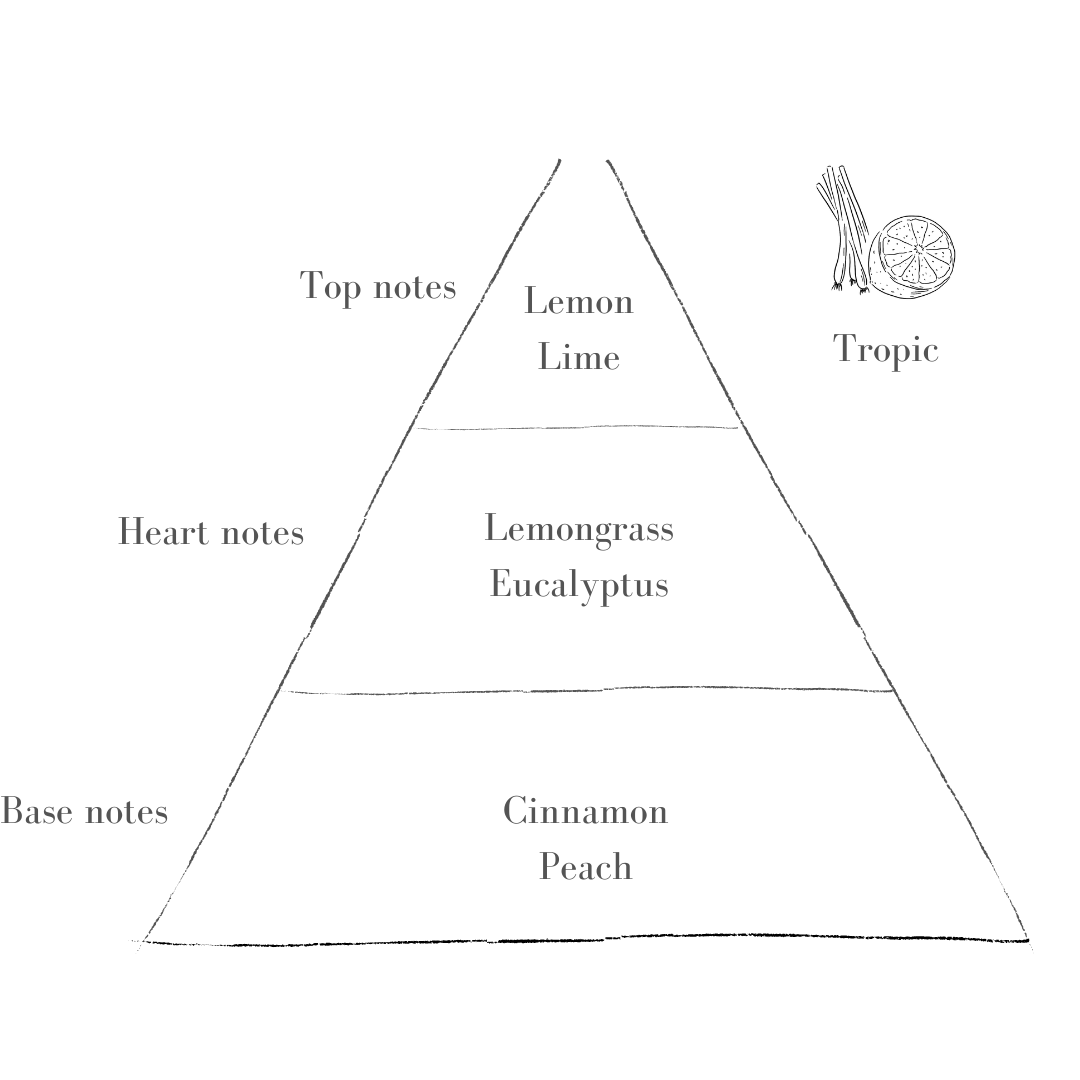 Tropic_b5b789c4-11fc-4471-8bf2-8d038b9f3b87.png