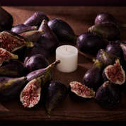 Fig Candle Refill (Petite Size)