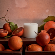 TEST Orangery Standard Refill