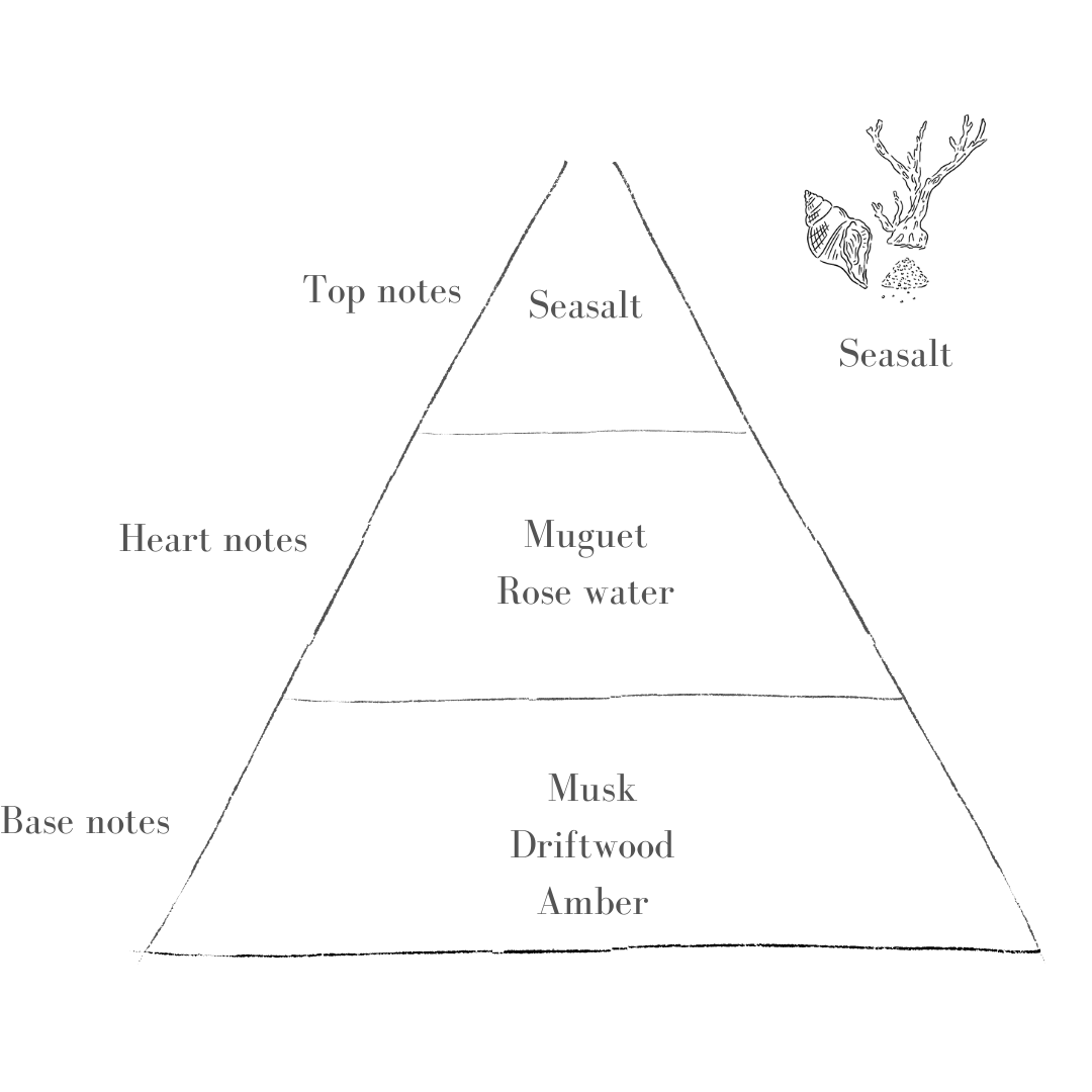 Seasalt Standard Refill - 290g