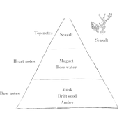 Seasalt Standard Refill - 290g