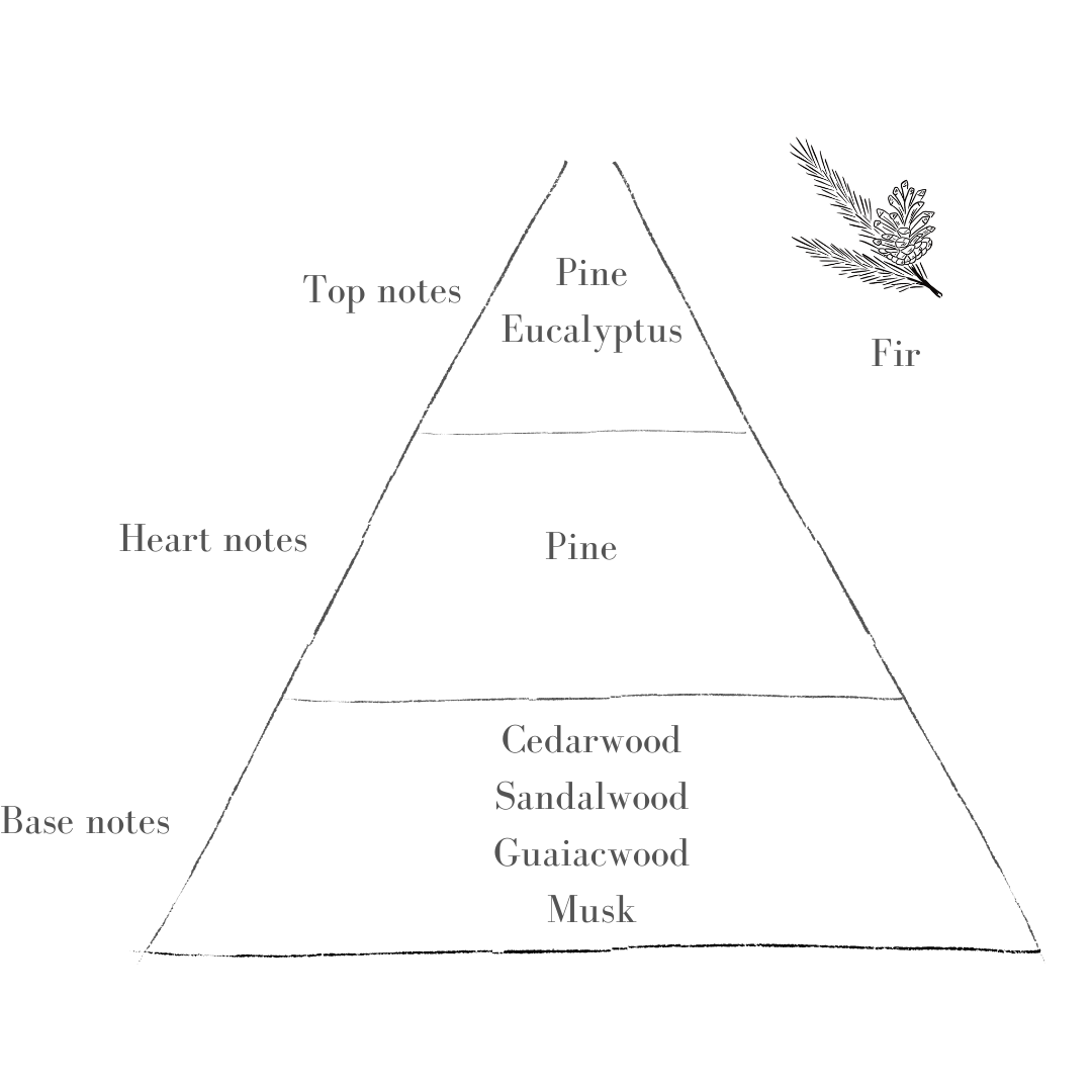 Fir Diffuser (limited edition)