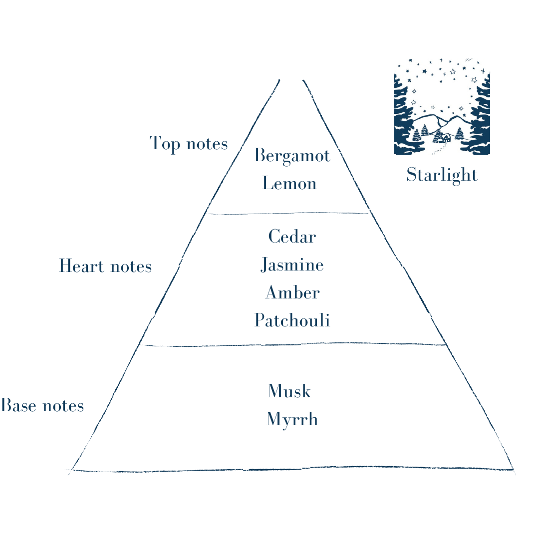 Starlight_7d493656-93b0-4587-be6e-a046993ab724.png